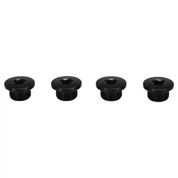 CAMPAGNOLO VITI FISSAGGIO INGRANAGGIO (4 PZ)