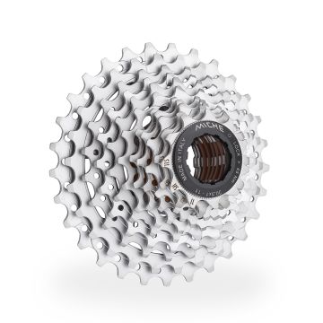 MICHE CASSETTA PRIMATO 11 SH BOX