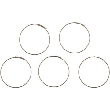 FULCRUM MOLLA PER CRICCHETTO MTB