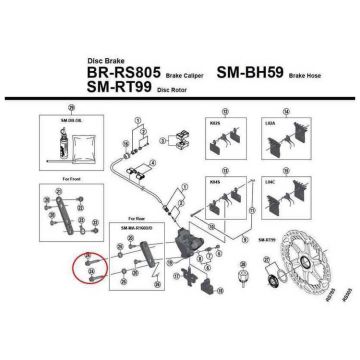 SHIMANO VITE FISSAGGIO PINZA C (30 MM) BR-RS505